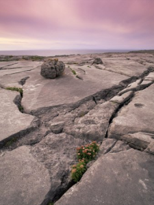 The Burren Limestone at the Cliffs of Moher