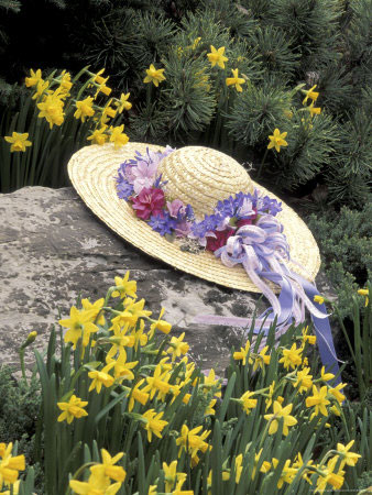 Hat and Daffodils, Louisville, Kentucky, USA