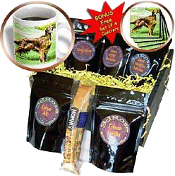 Irish Setter Coffee Gift Basket